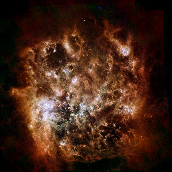 The Large Magellanic Cloud