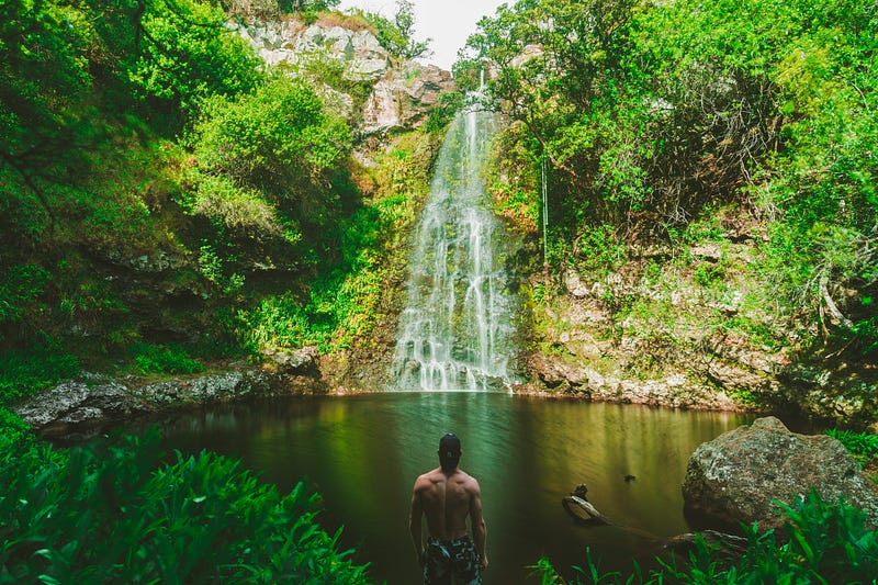 Forest bathing experience