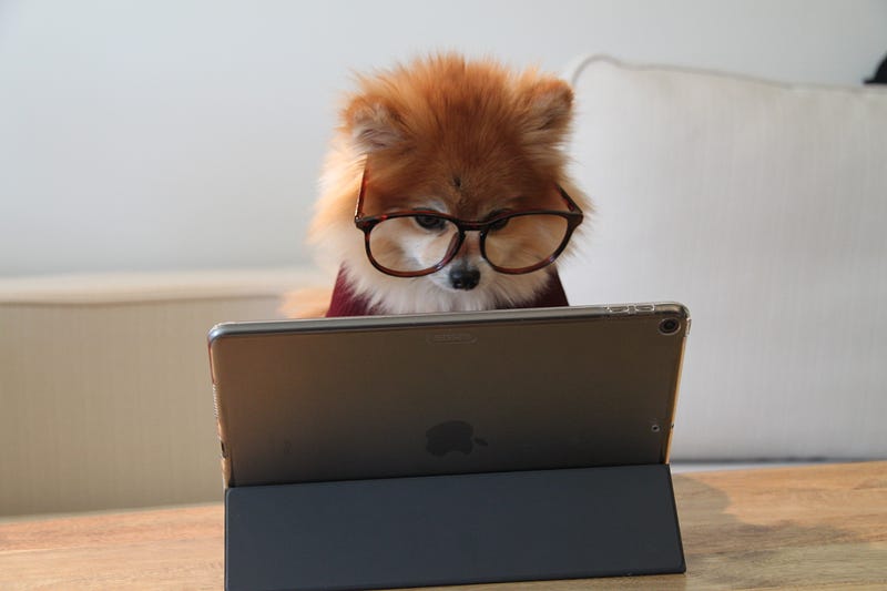 A person reading a book for personal growth