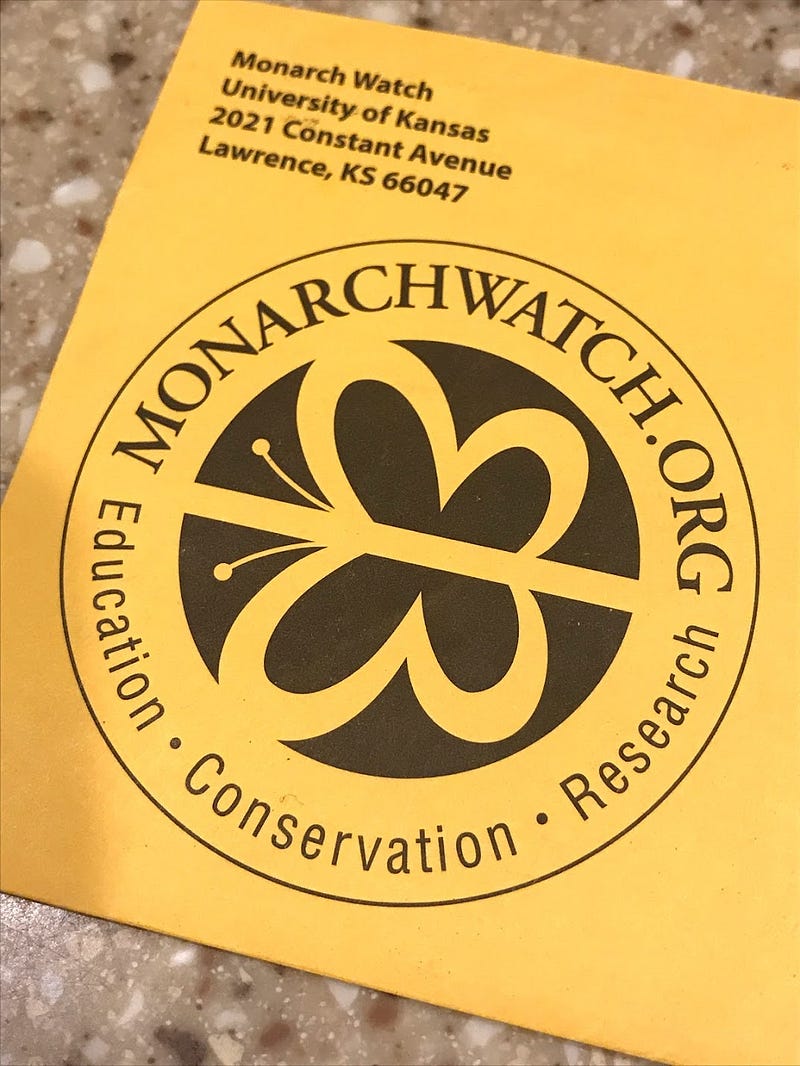 Envelope received from Monarch Watch for tagging