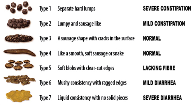 Bristol Stool Chart for health analysis