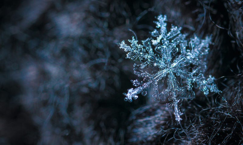 Intricate snowflake crystal structure