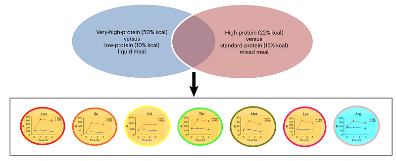 Foods High in Leucine