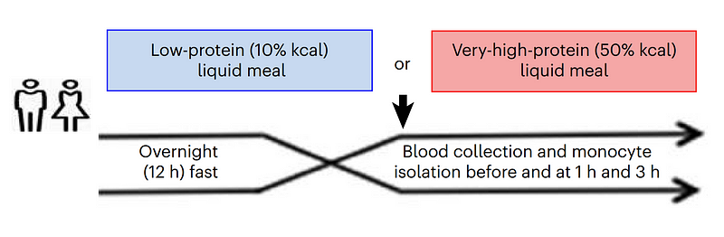 Meal Composition Study