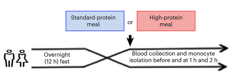 Blood Amino Acid Levels