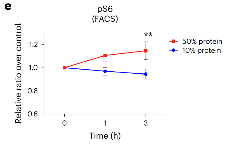 Amino Acid Testing Results