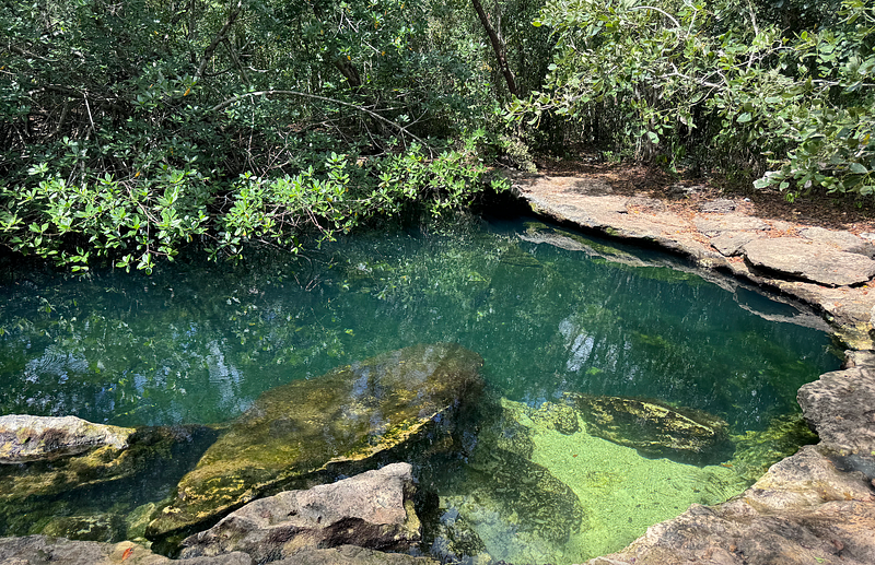 Cenote El Aerolito, a hidden aquatic gem