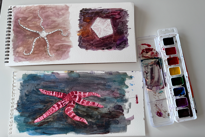 Author's watercolor paintings of cave sea stars