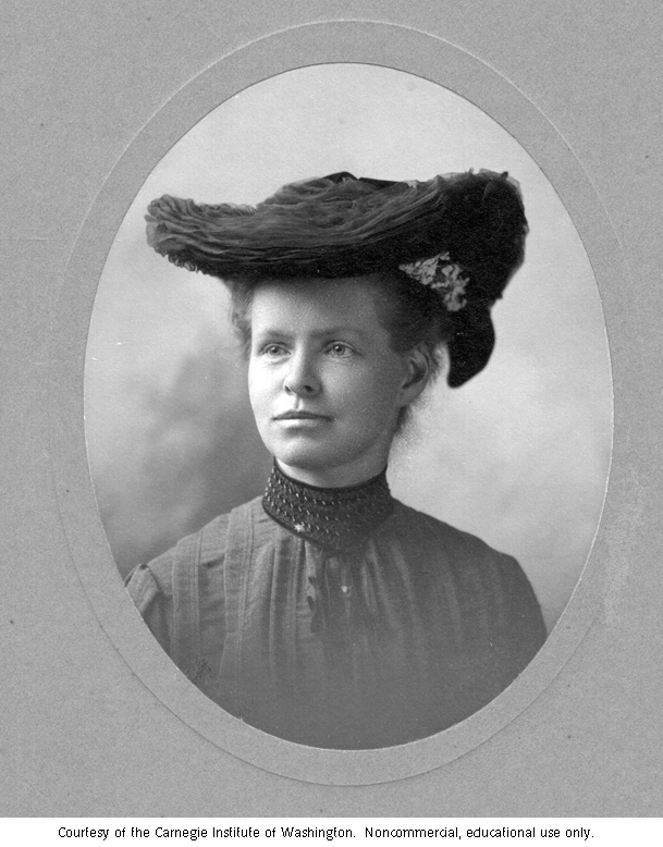 Nettie Stevens in 1904