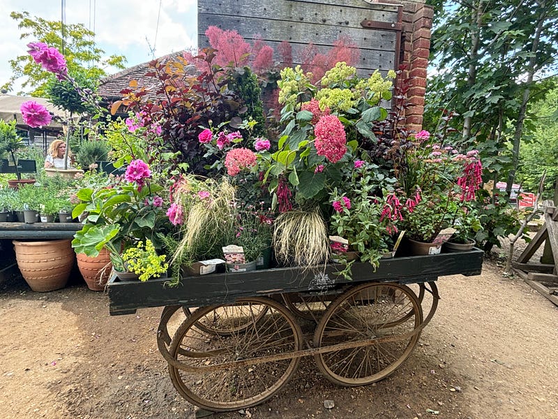 Petersham Nurseries garden center