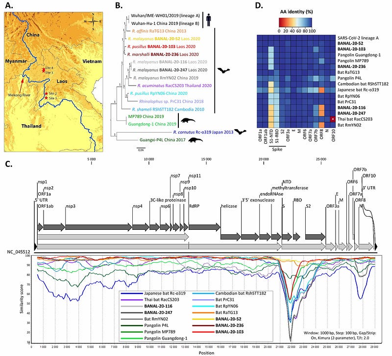 The lab leak hypothesis regarding SARS-CoV-2's origin.