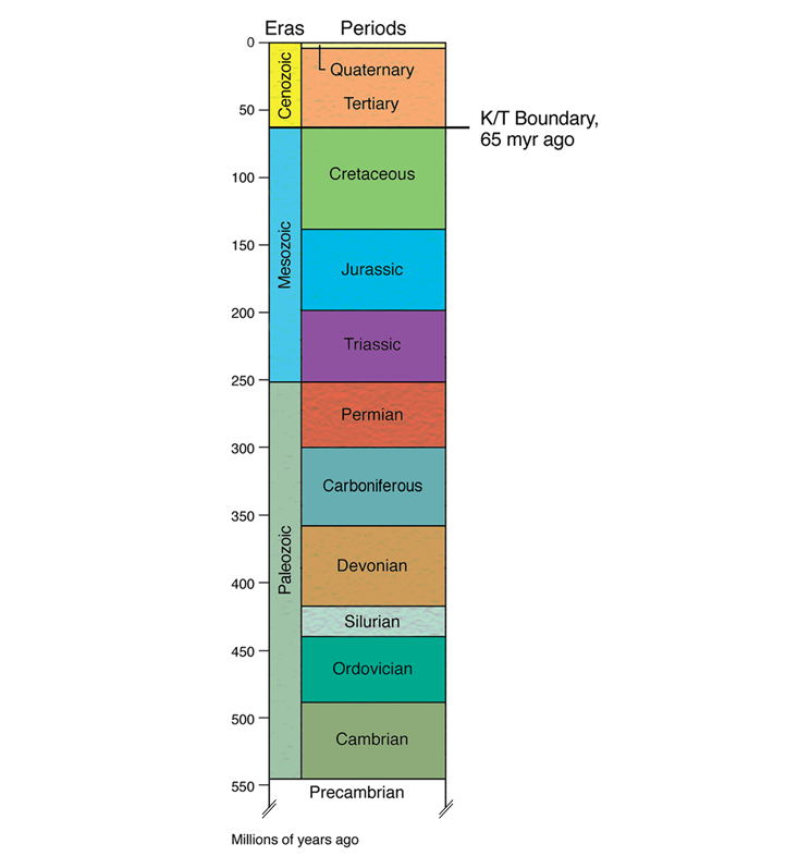 Geologic time scale illustrating the K-T boundary