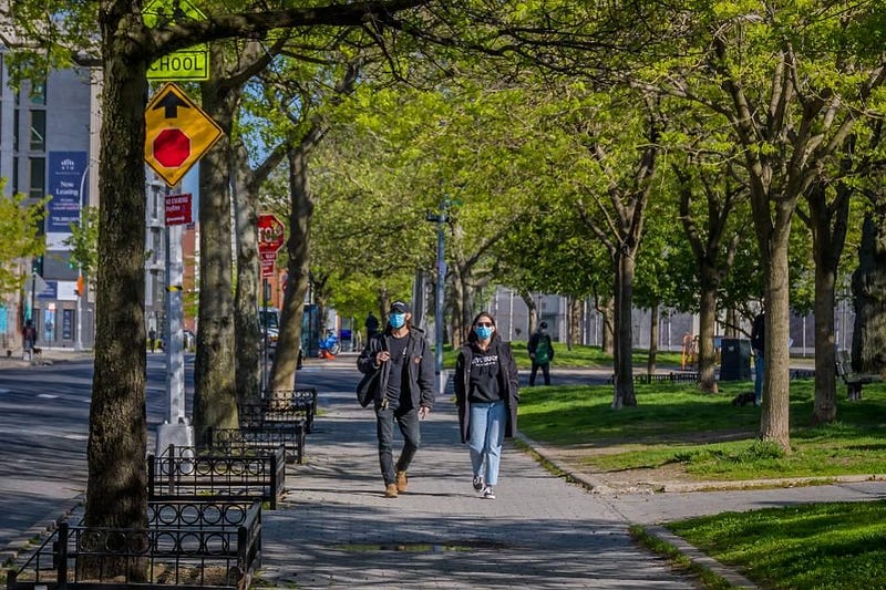 Parkgoers wearing masks in a New York City park.